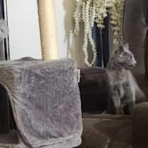 Thumbnail photo of Jerry Lucky #3