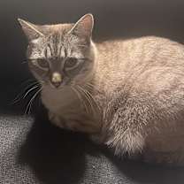 Thumbnail photo of Angel #2