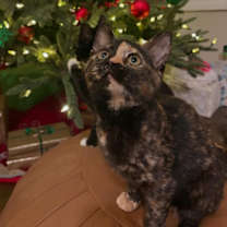 Thumbnail photo of Reny #1