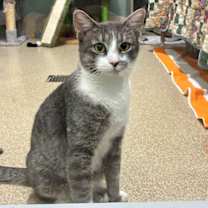 Thumbnail photo of Hermie #1