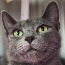 Thumbnail photo of Oceanside Villa #1