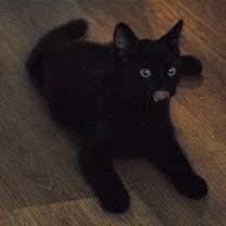 Thumbnail photo of Jep #4