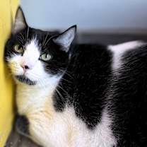 Thumbnail photo of Pryce #1