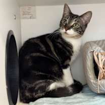 Thumbnail photo of Eris #3