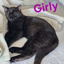 Thumbnail photo of Girly #1