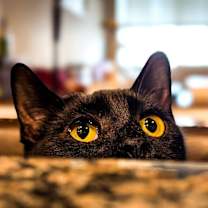 Thumbnail photo of Jenn #2