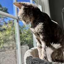 Thumbnail photo of Malia #1