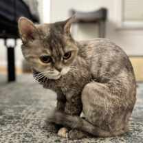 Thumbnail photo of Malia #2