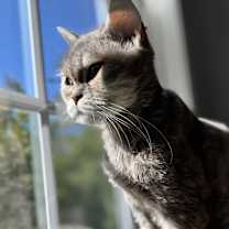 Thumbnail photo of Malia #3