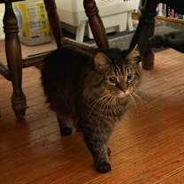 Thumbnail photo of Jax #2