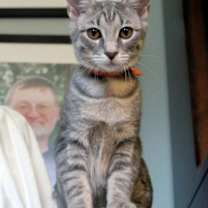 Thumbnail photo of Maeve #1