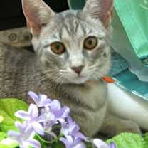 Thumbnail photo of Maeve #2