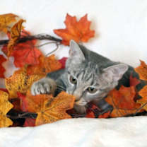 Thumbnail photo of Maeve #4