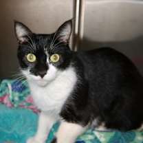 Thumbnail photo of Luna #2