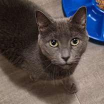 Thumbnail photo of Chloe #2