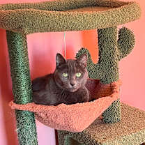 Thumbnail photo of Chloe #4