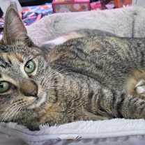 Thumbnail photo of Autumn Skye #4