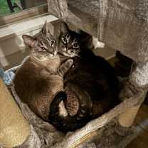 Thumbnail photo of Gustaf “Gus” #4