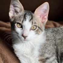 Thumbnail photo of Thomas Magmun #1