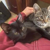 Thumbnail photo of Ashley - sweet little void - CCC #3