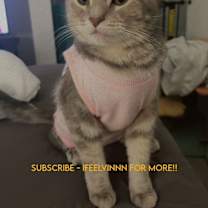 Thumbnail photo of Gracie #2