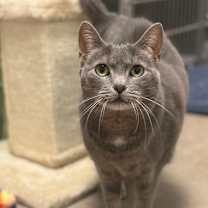 Thumbnail photo of Ally #1