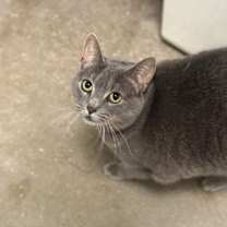 Thumbnail photo of Ally #4