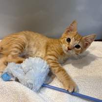 Thumbnail photo of Jalen #1