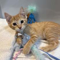 Thumbnail photo of Jalen #3