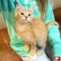 Thumbnail photo of Jalen #4