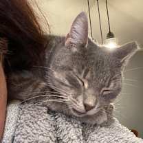 Thumbnail photo of Snuggles #3