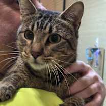 Thumbnail photo of Clyde #1