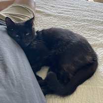 Thumbnail photo of Nova #2