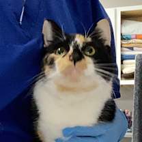 Thumbnail photo of Fiona #2