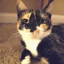 Thumbnail photo of Abigail #1