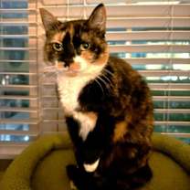 Thumbnail photo of Abigail #2