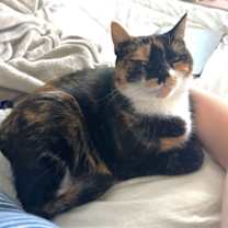 Thumbnail photo of Abigail #3