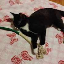 Thumbnail photo of Moon #2