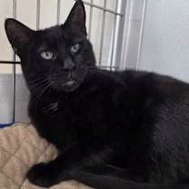 Thumbnail photo of Vada #4