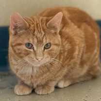 Thumbnail photo of Sunshine #1