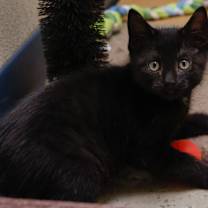 Thumbnail photo of Walter #3