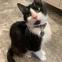 Thumbnail photo of Kitty Scott Clause #3