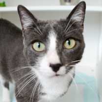 Thumbnail photo of Ezra #1