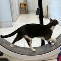 Thumbnail photo of Ezra #2