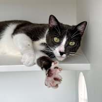 Thumbnail photo of Ezra #3