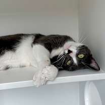 Thumbnail photo of Ezra #4