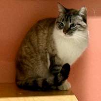 Thumbnail photo of Jessamine #1