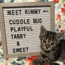 Thumbnail photo of Kimmy #1