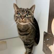 Thumbnail photo of Junebug #1