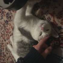 Thumbnail photo of Jordan in Baltimore, MD #2